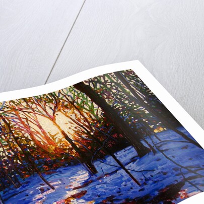 Sunset on Snow, 2010 by Helen White