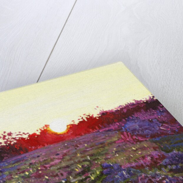 Farley Sunset, 2012 by Helen White