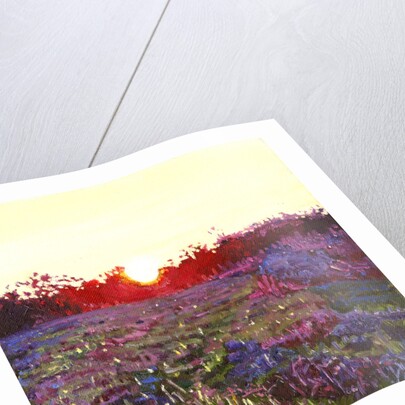 Farley Sunset, 2012 by Helen White