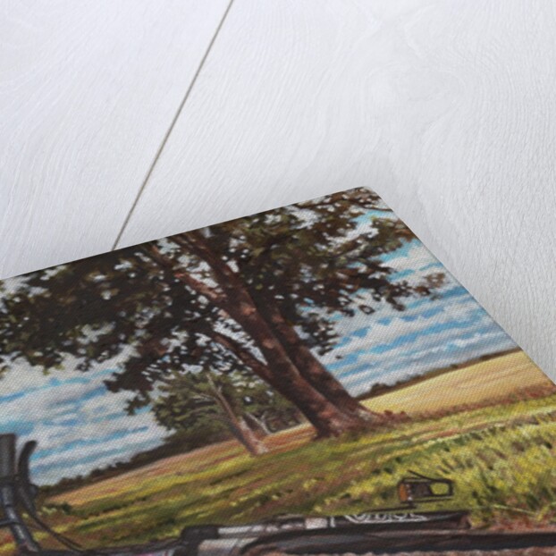 It's a Lovely Day for a Bike Ride, 2013 by Helen White