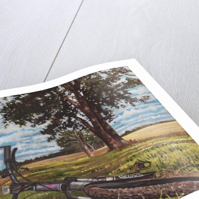 It's a Lovely Day for a Bike Ride, 2013 by Helen White