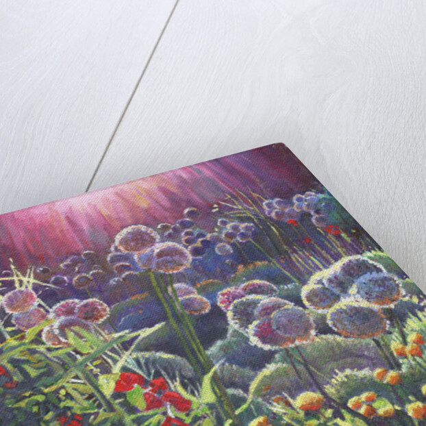 Incandescence, 2013 by Helen White