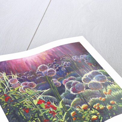 Incandescence, 2013 by Helen White