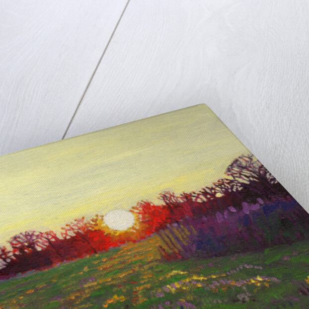 Path of Light, 2013 by Helen White