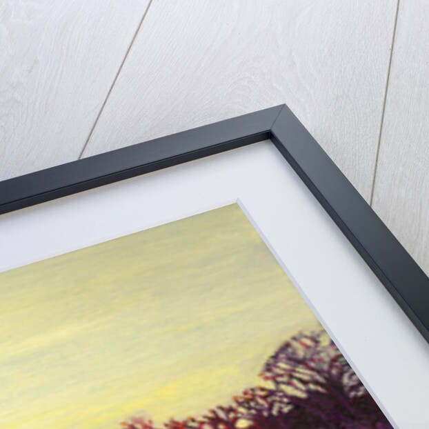 Path of Light, 2013 by Helen White