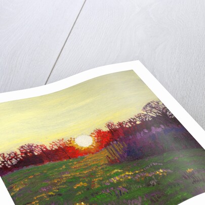 Path of Light, 2013 by Helen White