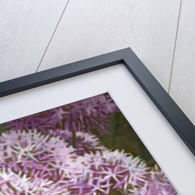 Summer Bees, 2014 by Helen White