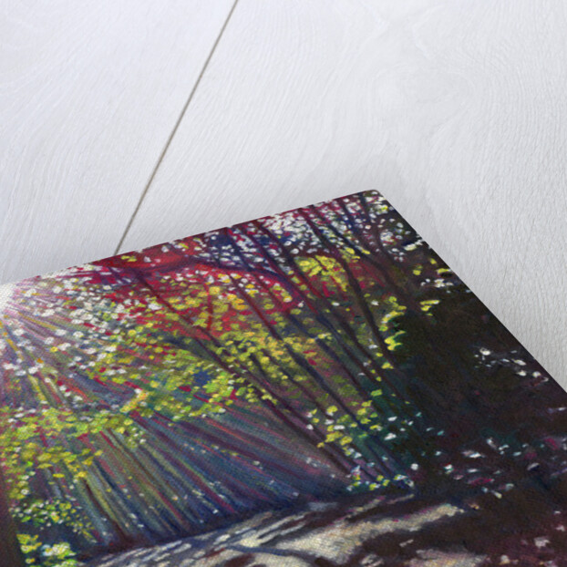 Scattered Light, 2013 by Helen White