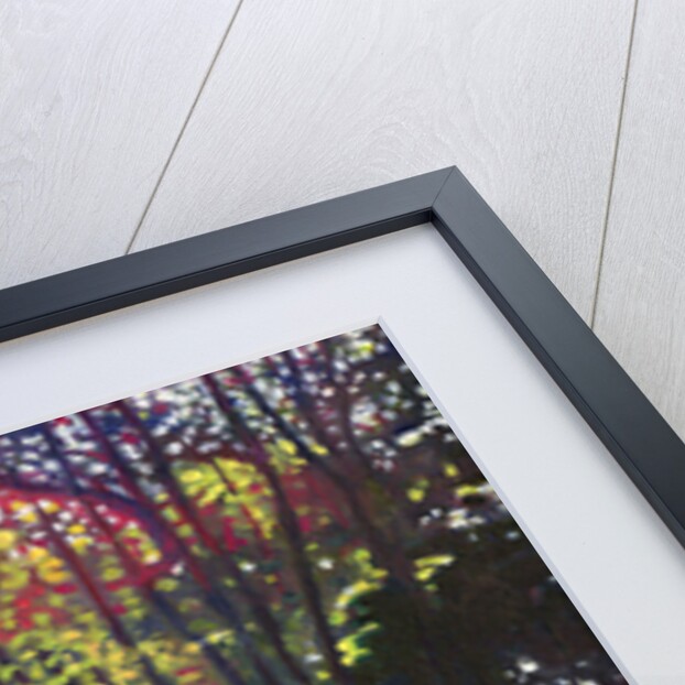 Scattered Light, 2013 by Helen White