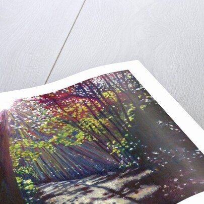 Scattered Light, 2013 by Helen White