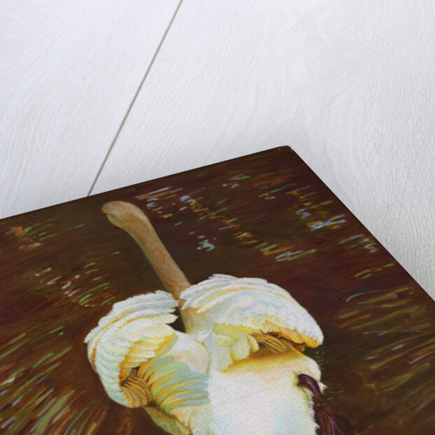 Grace, 2014 by Helen White