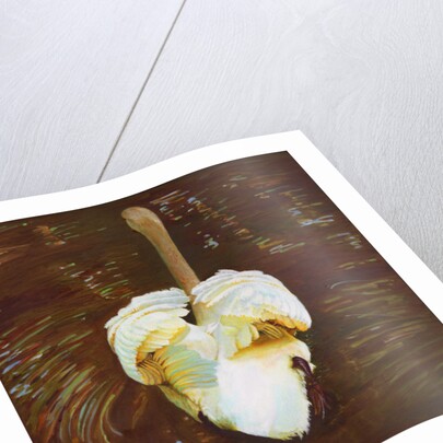 Grace, 2014 by Helen White