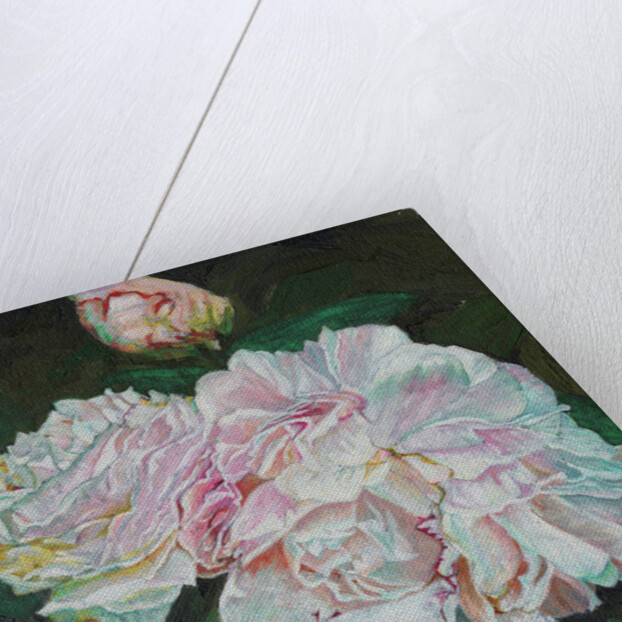 First Blooms, 2012 by Helen White