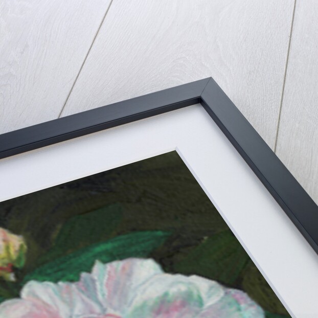 First Blooms, 2012 by Helen White