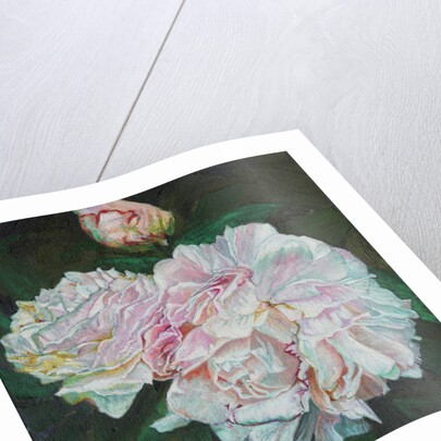 First Blooms, 2012 by Helen White