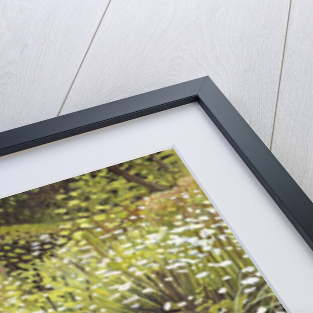 Charleston II, 2013 by Helen White