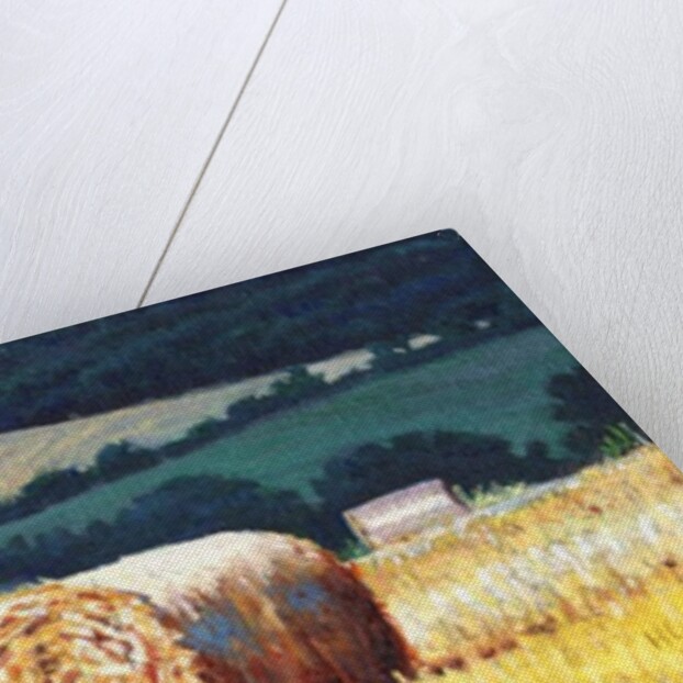 Haybales on Hillside, 2012, by Helen White