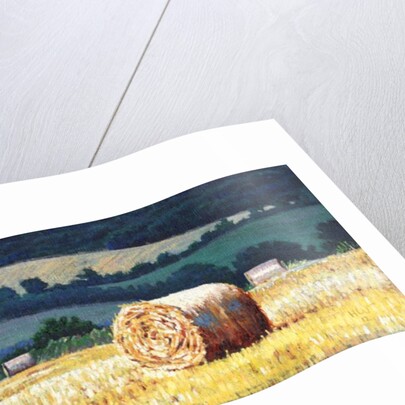 Haybales on Hillside, 2012, by Helen White
