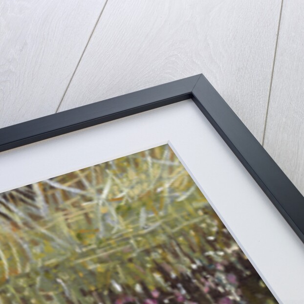 Giverny I by Helen White