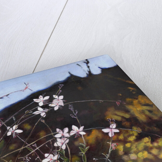 Provencal garden I by Helen White