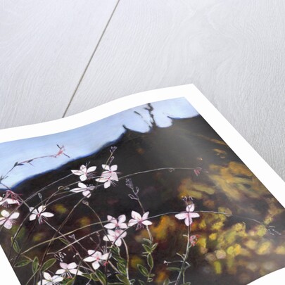 Provencal garden I by Helen White