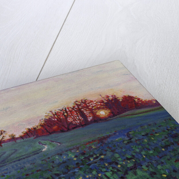 Sun greets the earth by Helen White