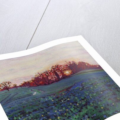 Sun greets the earth by Helen White