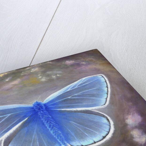 Uncommon Blue, 2015 by Helen White