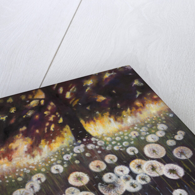 Field of Dreams, 2015, by Helen White