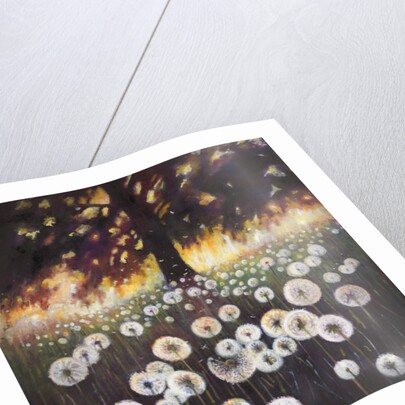 Field of Dreams, 2015, by Helen White