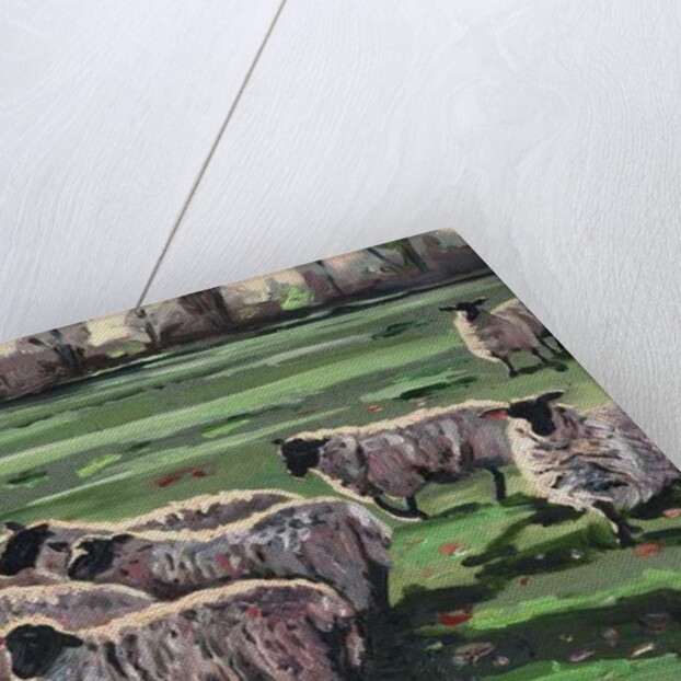 Curious Flock II, 2009 by Helen White