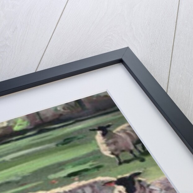 Curious Flock II, 2009 by Helen White