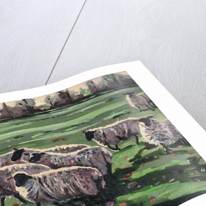 Curious Flock II, 2009 by Helen White