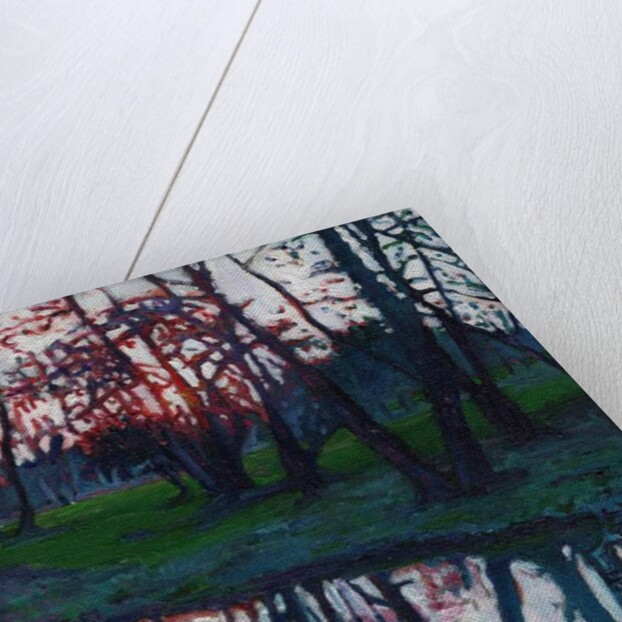 Last Glow on the Meadow, 2009 by Helen White