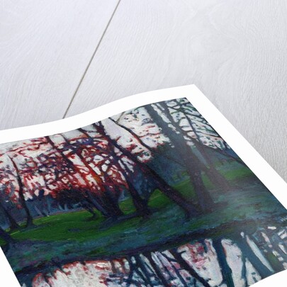 Last Glow on the Meadow, 2009 by Helen White