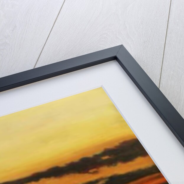 Light divided, 2013 by Helen White