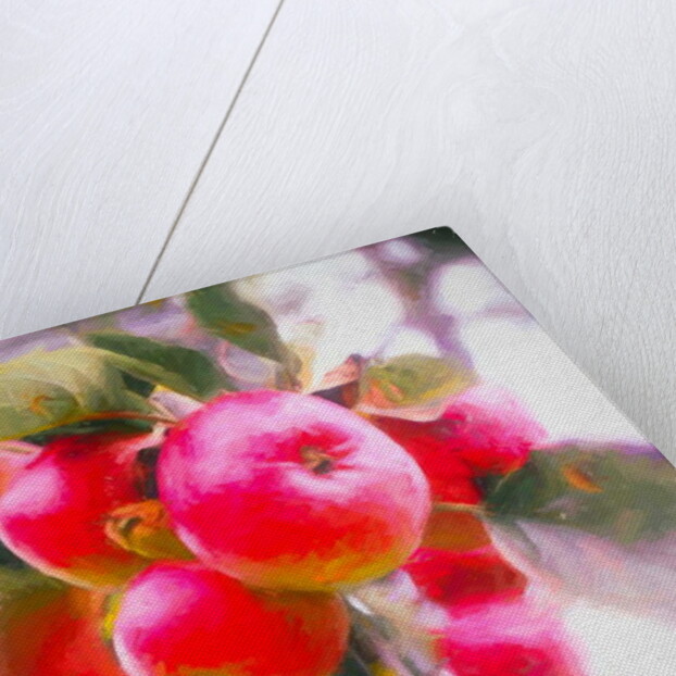 Fruit of Life, 2018 by Helen White