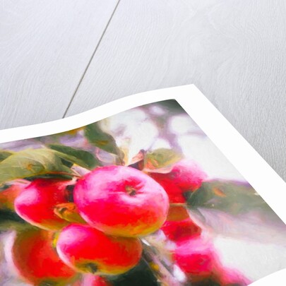 Fruit of Life, 2018 by Helen White