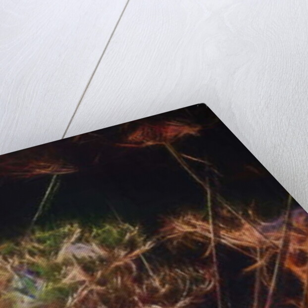 Radiant Hedgerow, 2018 by Helen White