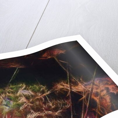 Radiant Hedgerow, 2018 by Helen White