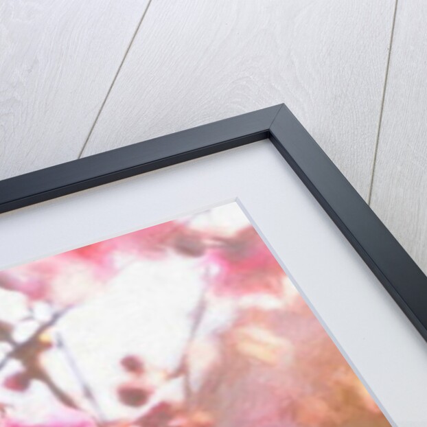 First Light of Spring, 2018 by Helen White