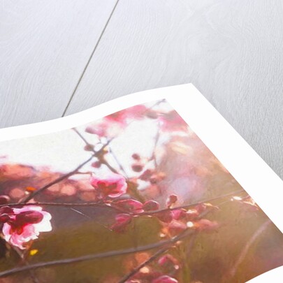 First Light of Spring, 2018 by Helen White