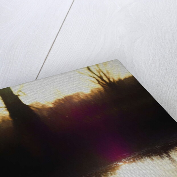 Violet Haze, 2018 by Helen White