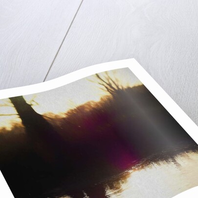 Violet Haze, 2018 by Helen White