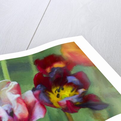 Bright Tulips, 2018 by Helen White