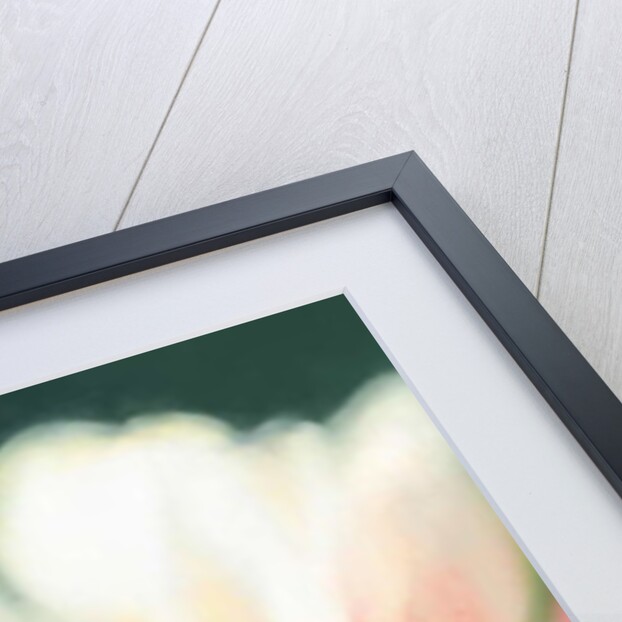 Emergence II, 2018 by Helen White