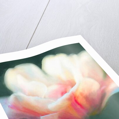 Emergence II, 2018 by Helen White