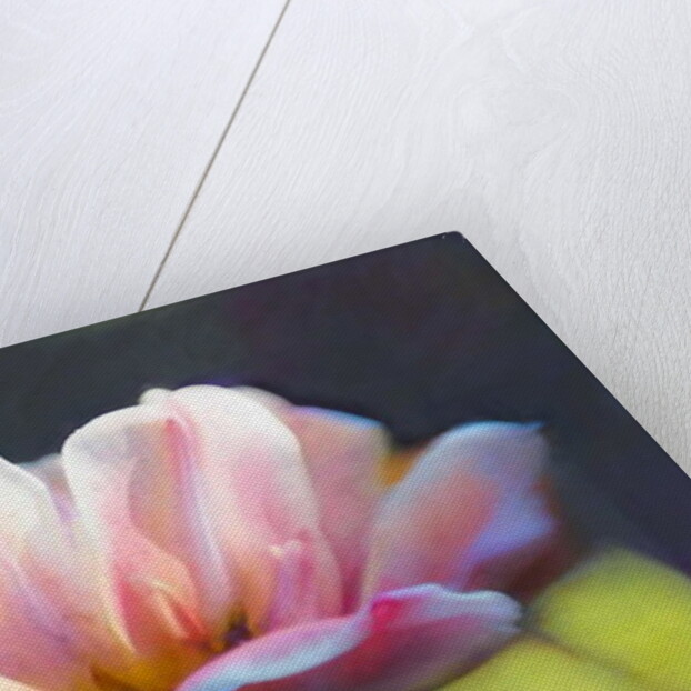 Emergence III, 2018 by Helen White