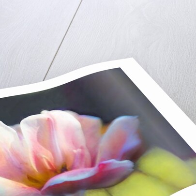 Emergence III, 2018 by Helen White