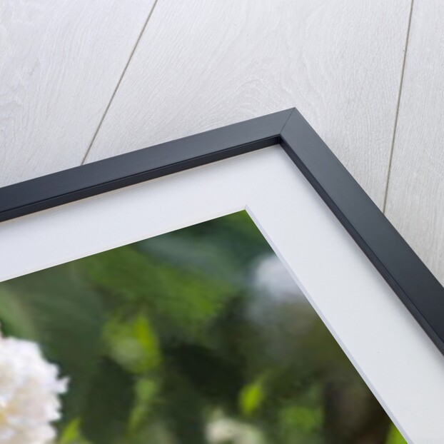 Pure White Lilac, 2018 by Helen White